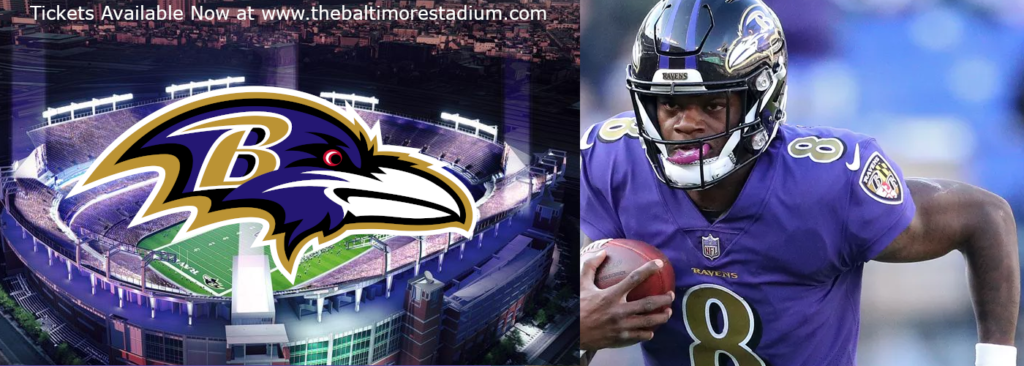 Baltimore Ravens MT&T bank stadium